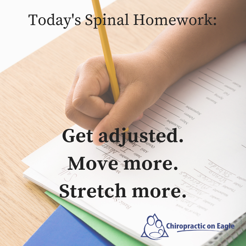 Spinal Homework