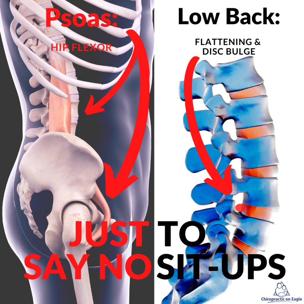 psoas muscle