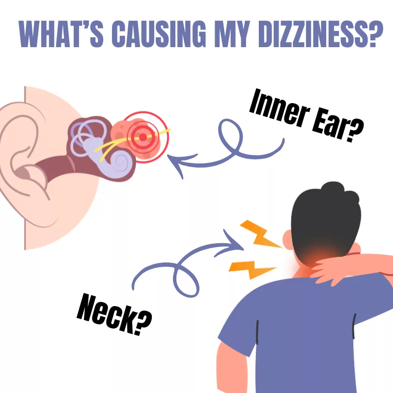 Comparison between inner ear vertigo and neck-related dizziness causes